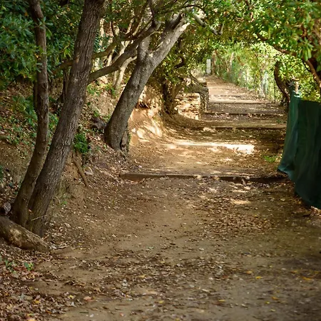 Laminerve Pramousquier Villa Le Lavandou